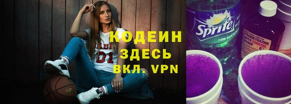 ешки Дубна