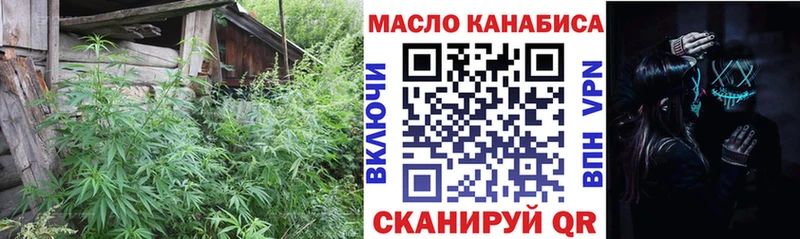 ТГК вейп  Грязовец 